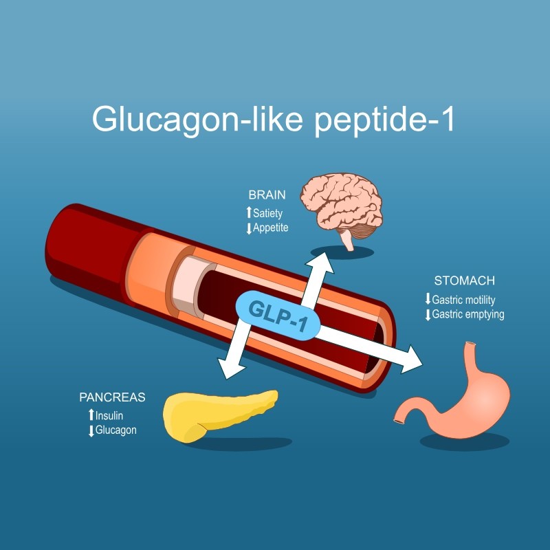 Médicaments contre l’obésité à Liège: fonctionnement & indication